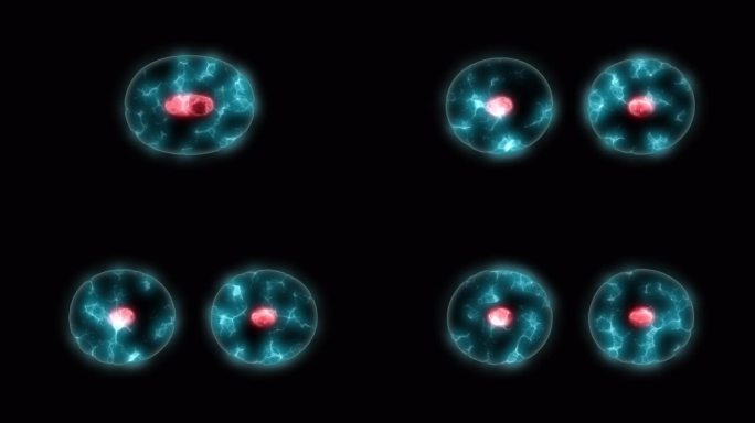 细胞分裂微生物学背景与红色氖细胞质。科学背景