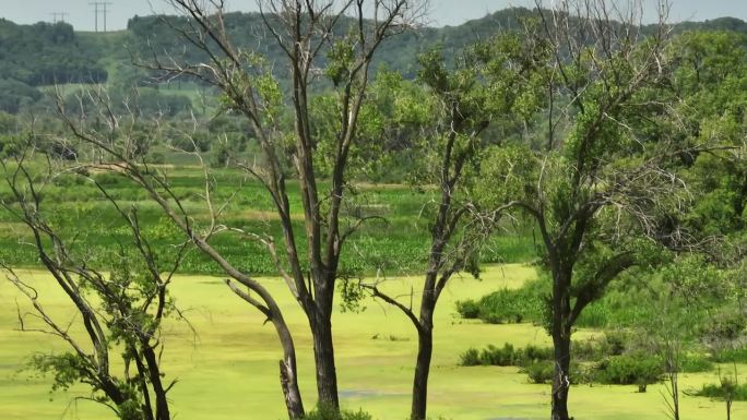 威斯康星州Trempealeau国家野生动物保护区郁郁葱葱的树木和湿地。空中侧