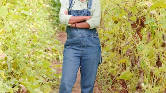 黑人妇女，务农和面带微笑，植物和双臂交叉，为小型农业企业增长。农民，温室和植物与可持续发展，肖像和幸