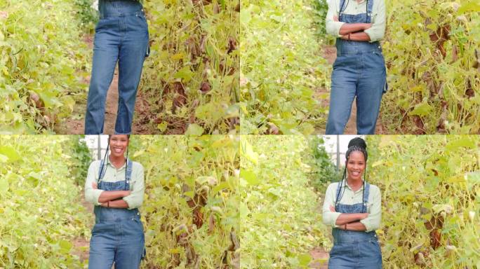 黑人妇女，务农和面带微笑，植物和双臂交叉，为小型农业企业增长。农民，温室和植物与可持续发展，肖像和幸