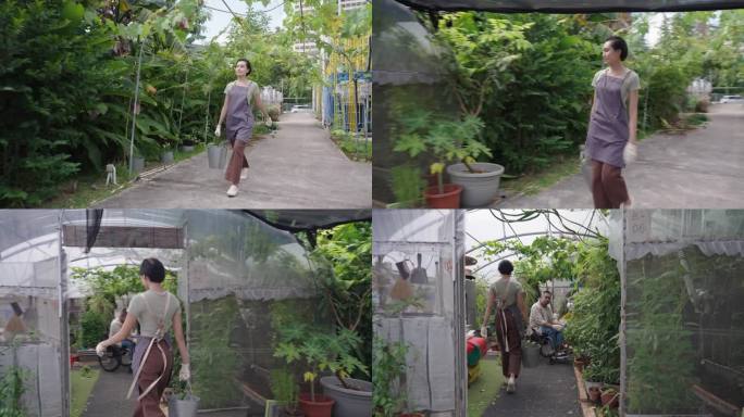 不同的亚洲城市农民在一个小温室里一起工作