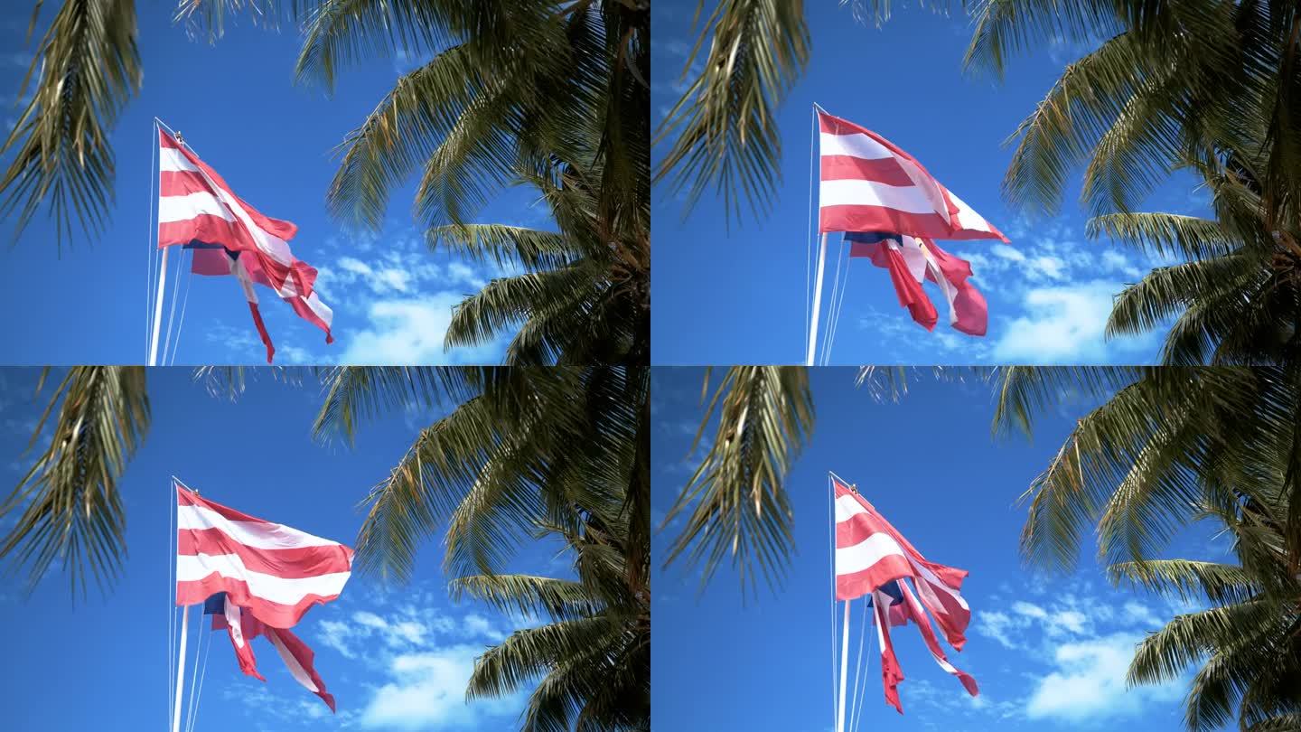 旗子在热带微风中飘扬的美景