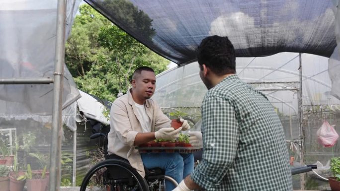 不同的亚洲城市农民在一个小温室里一起工作