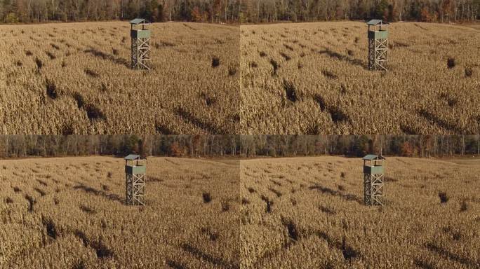 巨大的玉米迷宫，位于宾夕法尼亚州的塞尔斯堡，有瞭望塔。航拍视频与平移轨道摄像机运动。