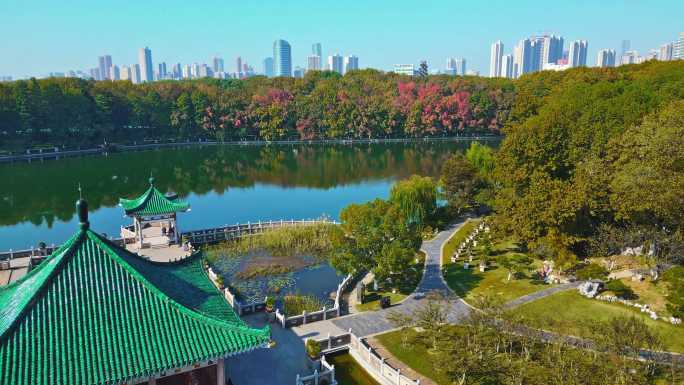 秋天重阳节东湖听涛景区屈原行吟阁