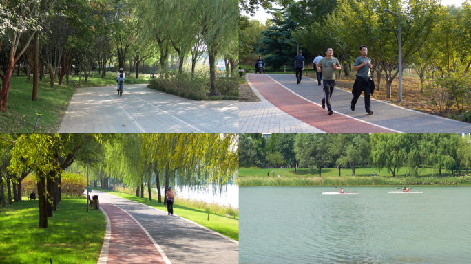 公园跑步散步骑行划船运动锻炼身体