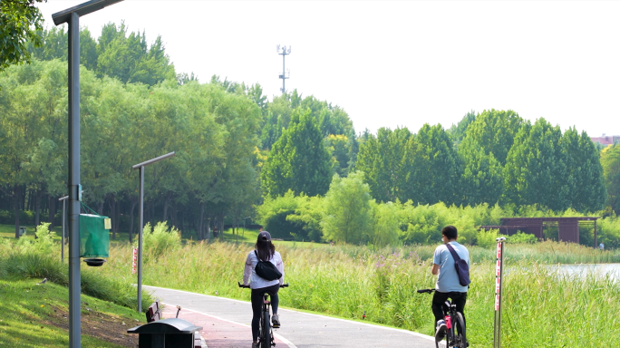 公园跑步散步骑行划船运动锻炼身体