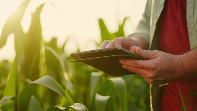 农民在田间使用现代平板电脑，手特写，农业综合企业的当代技术