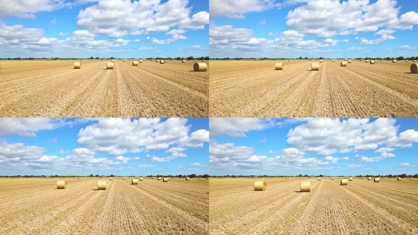 航拍镜头捕捉到了林肯郡农民刚刚收割的田地里风力涡轮机的宁静，金色的干草捆为这一场景增添了一丝魅力。