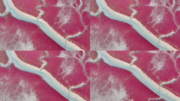 锦州红海滩航拍高清视频