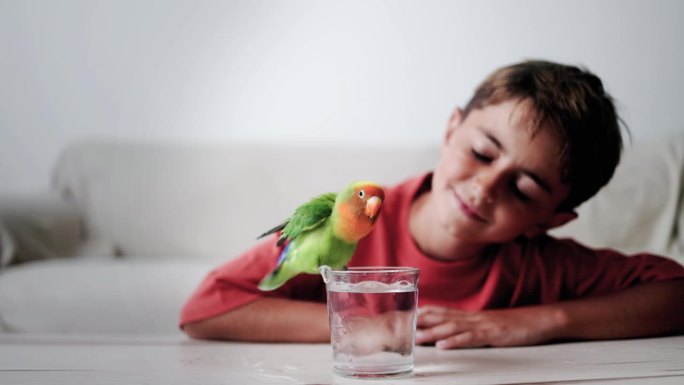 快乐的孩子和鹦鹉鸟在家里一起享受-主人和异国宠物的关系，爱情概念