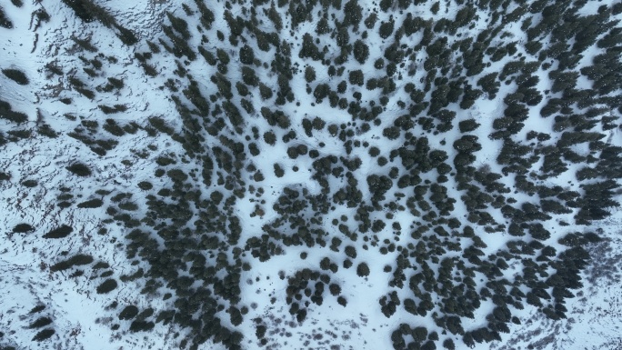 4K新疆阿克苏地区雪景俯瞰航拍