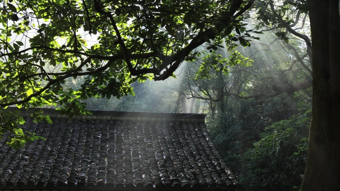 杭州法云安缦古典房屋 森林逆光光影耶稣光