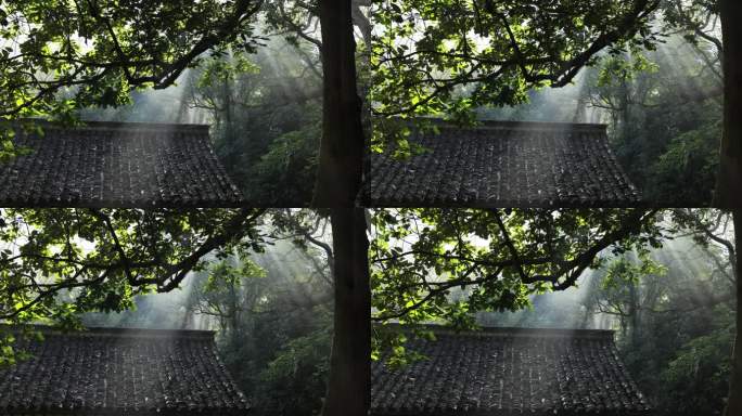 杭州法云安缦古典房屋 森林逆光光影耶稣光