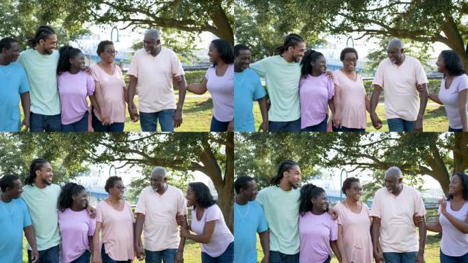 多代非裔美国人家庭在公园散步