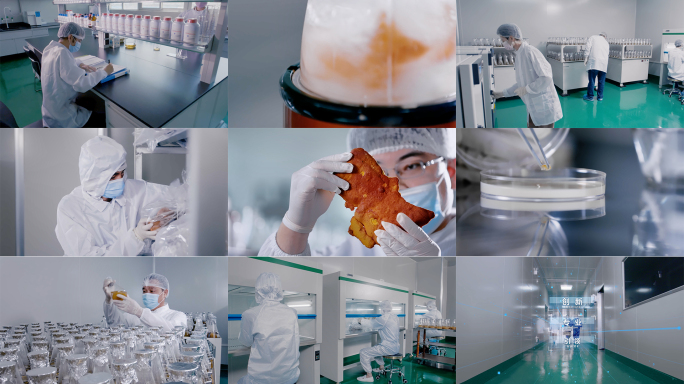 真菌培养实验室2