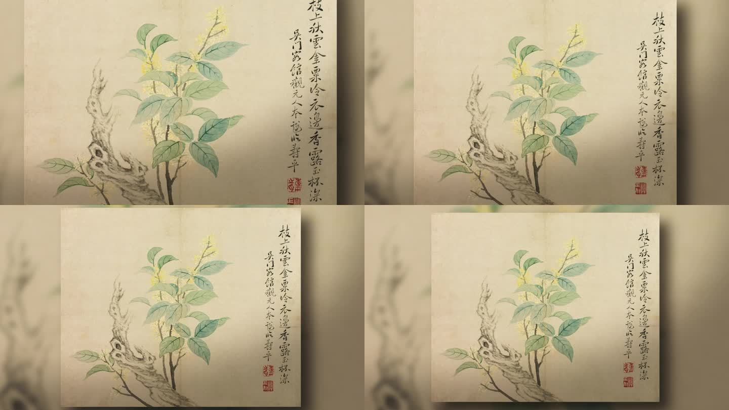 【含ae工程】恽寿平 花卉图册之五·桂花