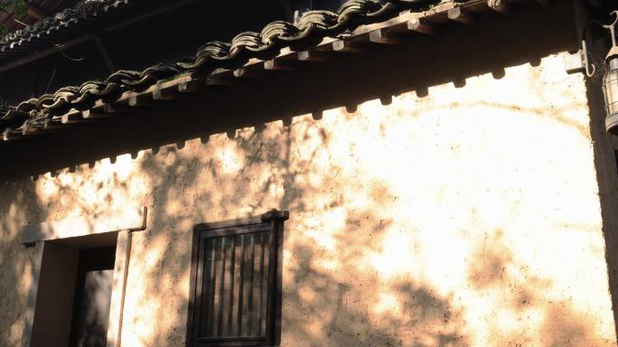 杭州法云安缦古典建筑白墙 树影 唯美光影