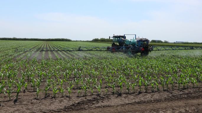 拖拉机像在田间喷洒玉米，随风摇曳，带着喷雾器、除草剂和农药