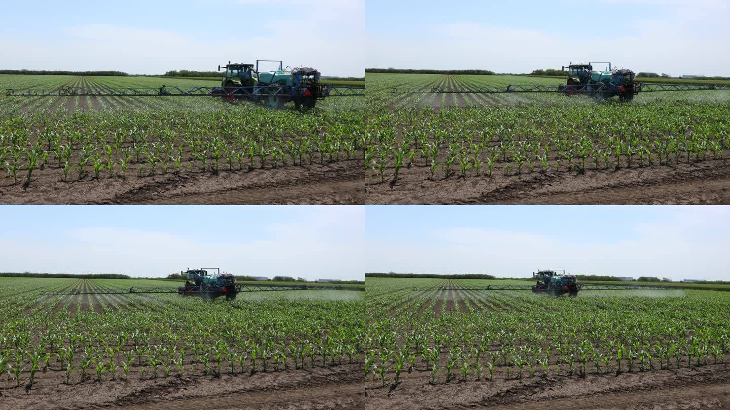 拖拉机像在田间喷洒玉米，随风摇曳，带着喷雾器、除草剂和农药