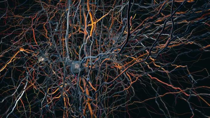 具有传递突触、神经元或神经细胞的神经元连接的神经网络- 3d插图