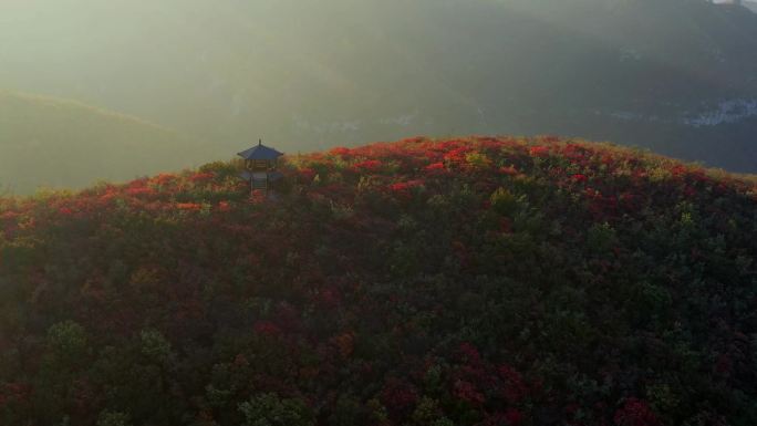 航拍秋天山岭红叶