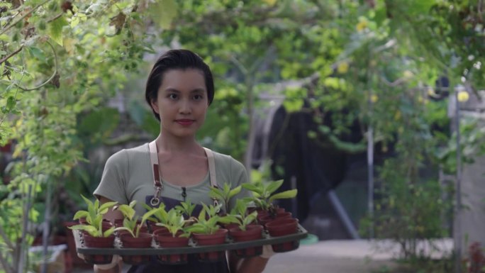 一个美丽的亚洲城市农民拿着一盘盆栽植物的肖像