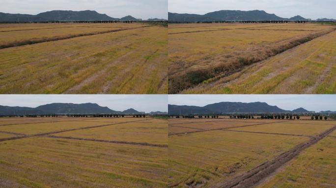 台州温岭松门农村航拍DJI_0134