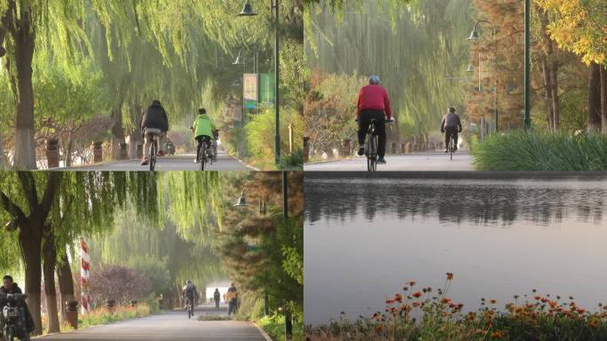 河边公园遛弯骑行散步河边游船秋景金秋季节