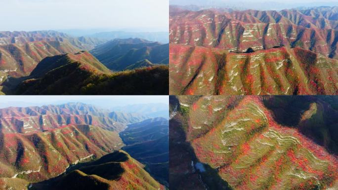 航拍秋天太行山红叶自然风光