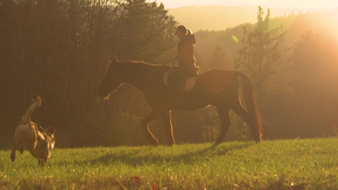 剪影，镜头光晕:美丽的秋天日落和女士骑着一匹棕色的马