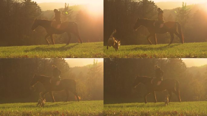 剪影，镜头光晕:美丽的秋天日落和女士骑着一匹棕色的马