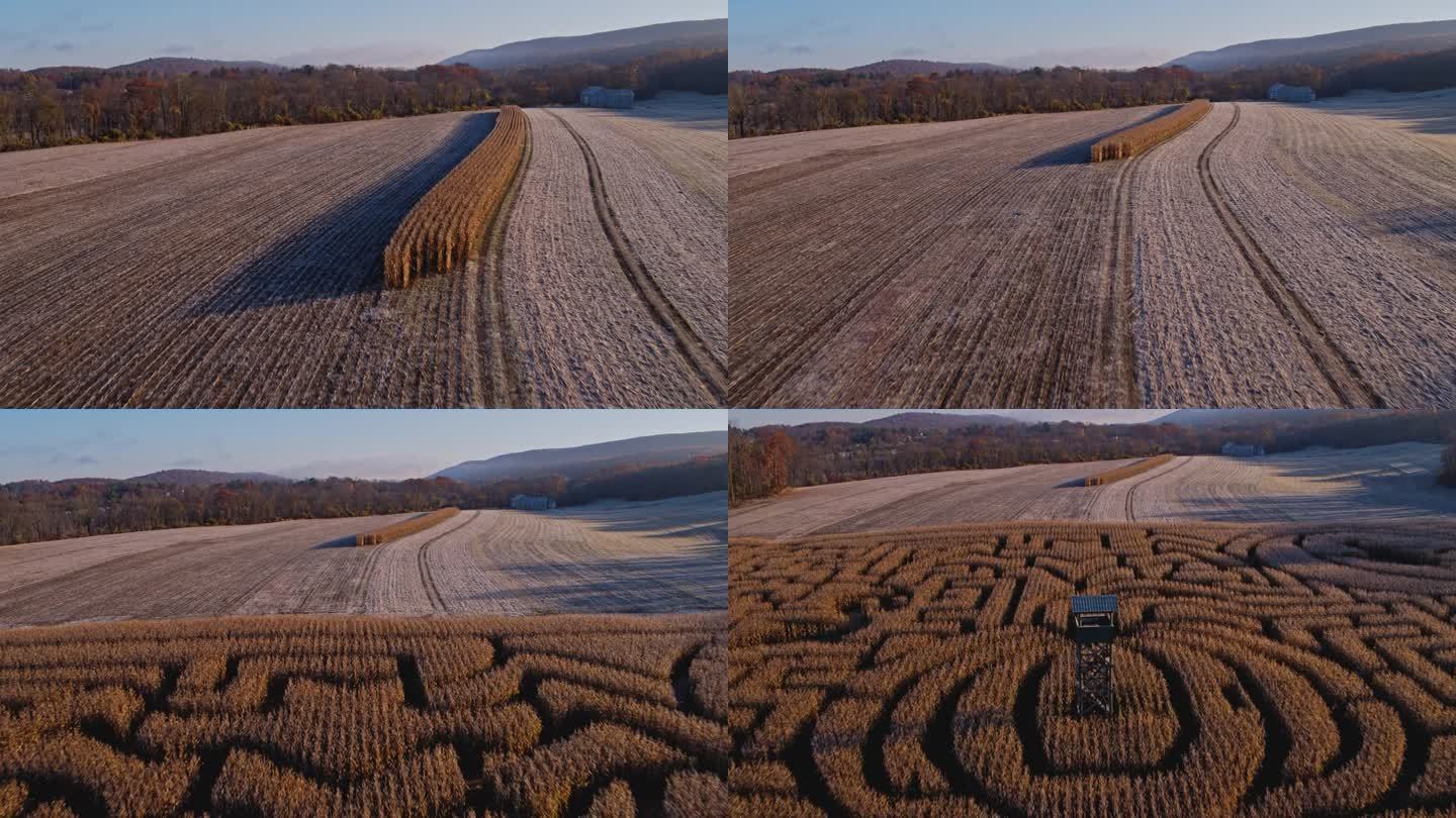 秋天，宾夕法尼亚州波科诺斯地区巨大的万圣节玉米迷宫。航拍视频与向后快速上升倾斜向下的摄像机运动。