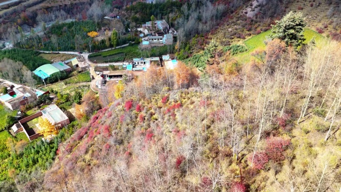 航拍青海扎哈公路秋景