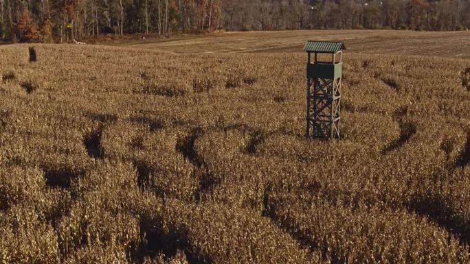 位于宾夕法尼亚州塞尔斯堡的玉米迷宫和瞭望塔，在秋天的早晨，景色尽收眼底。航拍视频与平移轨道摄像机运动