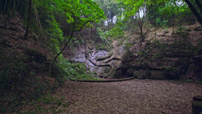 石龙石虎文物古迹彭山区