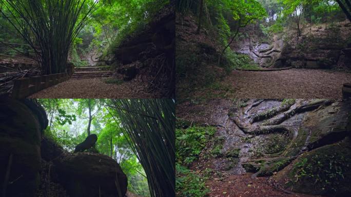 石龙石虎文物古迹彭山区