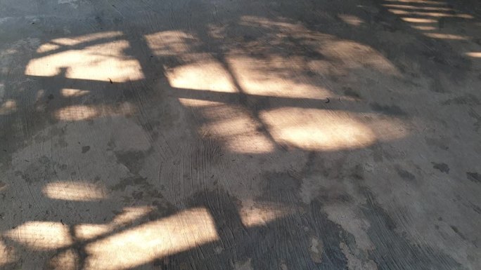 阳光在混凝土地板上摇曳着影子