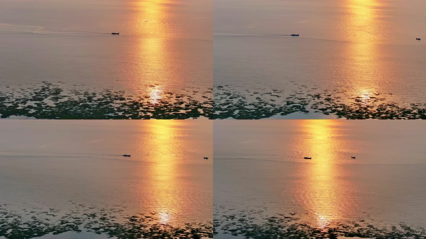 盘锦红海滩航拍高清视频
