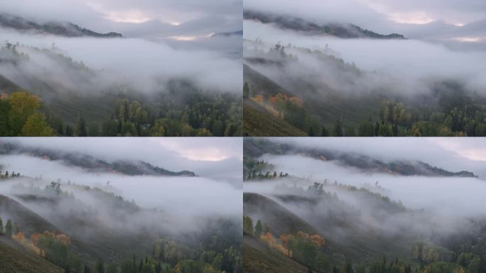 航拍新疆阿勒泰禾木风景区的秋雾