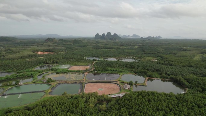 虾场和养鱼场的水处理鸟瞰图