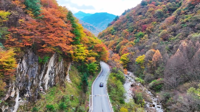 湖北神农架神农顶秋天红叶风景