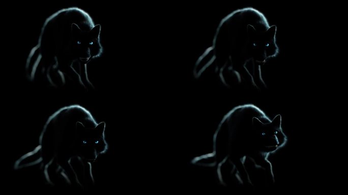 恐怖的狼:这只怪物在黑暗中行走，露出毒牙，还有可怕的眼睛。令人不安的灯光营造出一种恐怖的气氛。视频是