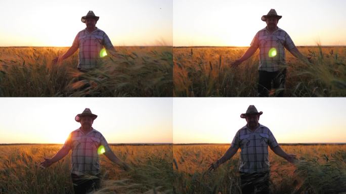 金色的麦田。夕阳下，一位年老的农夫在金黄色的麦田里漫步。农夫的手抚摸着金色的小麦，他朝太阳走去。