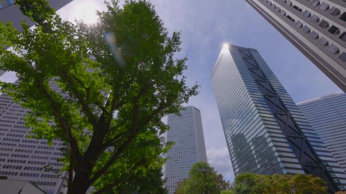 西新宿的高层建筑有着美丽清新的绿色植物