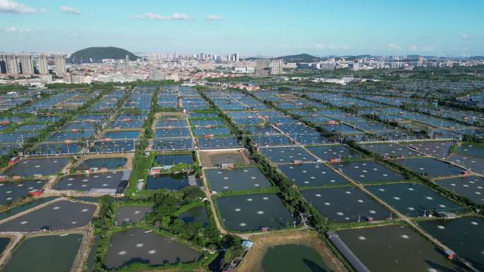 实拍素材（南金鱼场 桑基鱼塘）