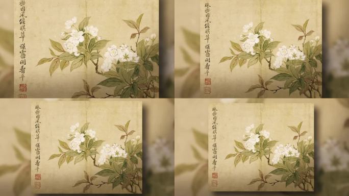 【含ae工程】恽寿平 花卉图册之三·梨花