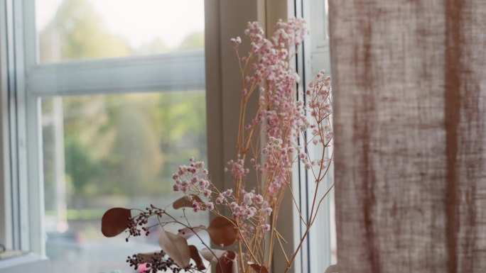 橱窗里的一束干花橱窗展示室内橱窗花卉装饰