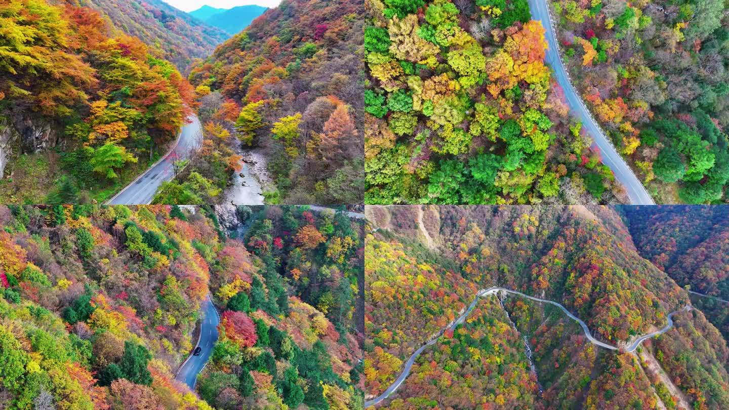 神农架红坪画廊天燕秋季红叶秋天景色