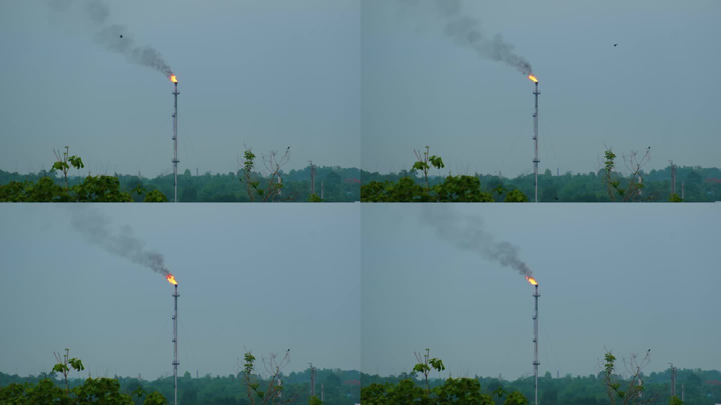 煤气燃烧管塔在森林中燃烧，烟雾污染环境。鸟类和动物栖息地危害概念。环境灾难。孟加拉国